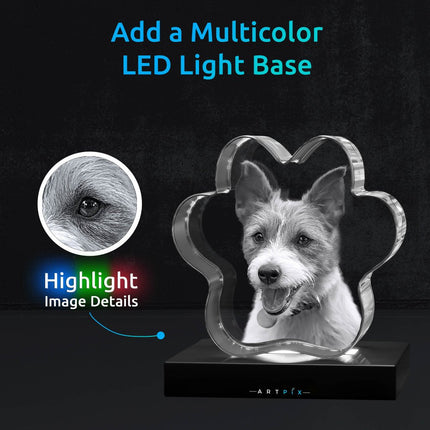 3D Pet Paw Crystal