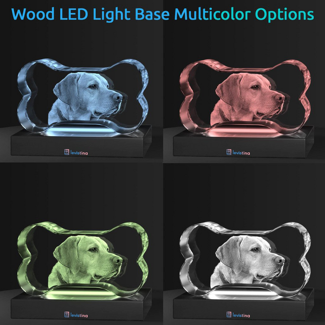 Pets 3D Bone Crystal - Light Base NOT Included