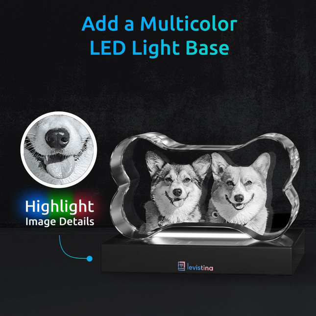 Pets 3D Bone Crystal - Light Base NOT Included