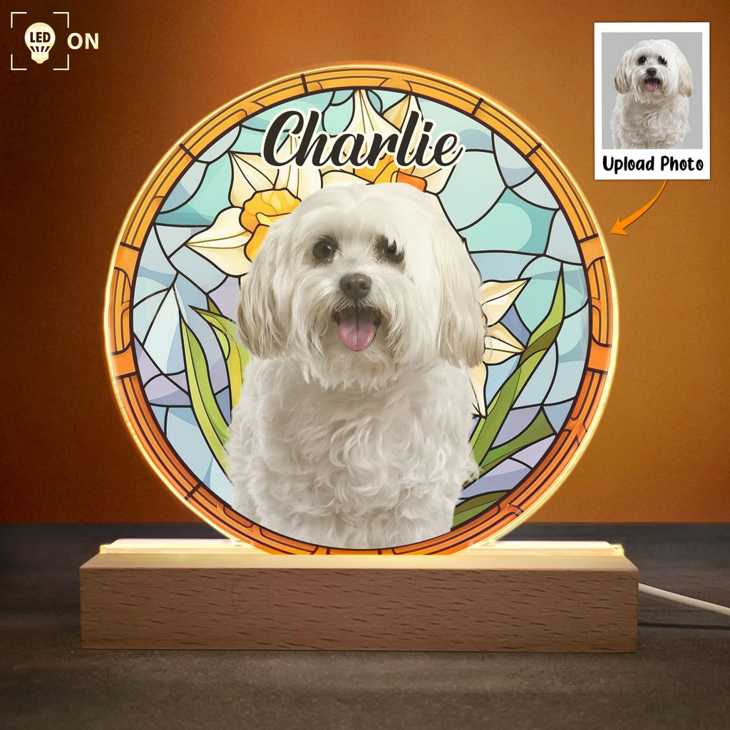 Custom Photo Cute Pet Stained Glass - Personalized Photo LED Light-Levistina