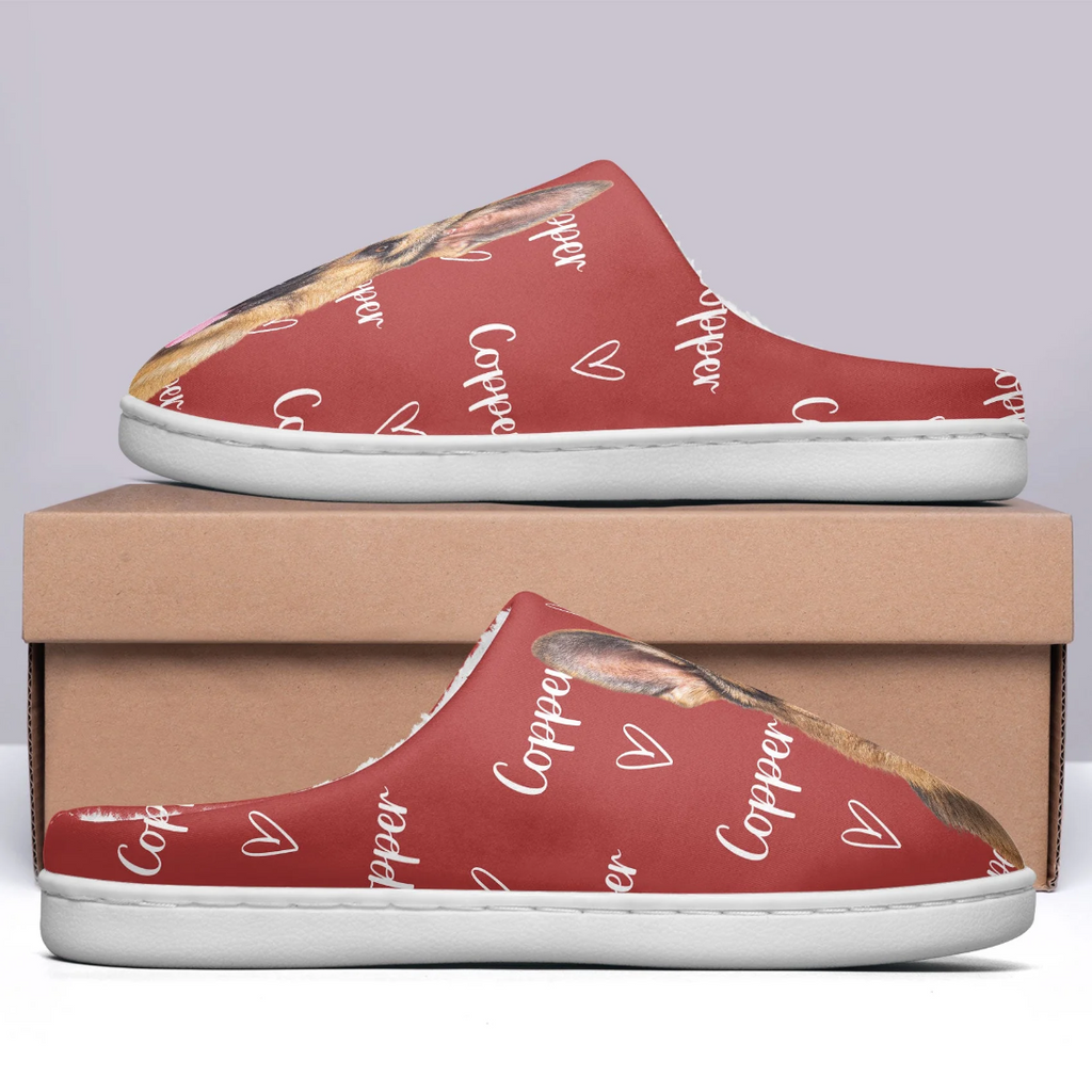 Custom Photo Pet Name - Personalized Photo Slippers - Levistina