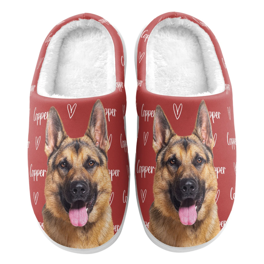 Custom Photo Pet Name - Personalized Photo Slippers - Levistina