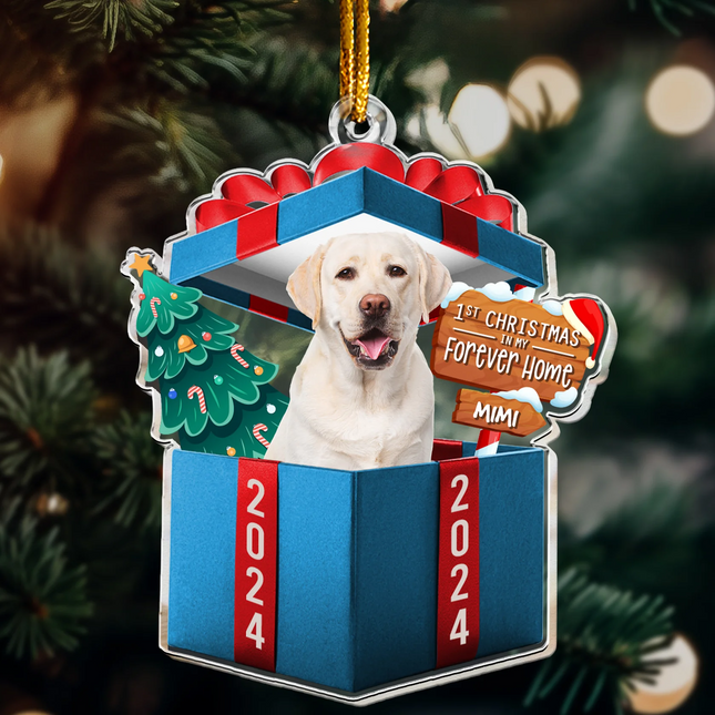 1st Christmas In My Forever Home - Personalized Acrylic Photo Ornament